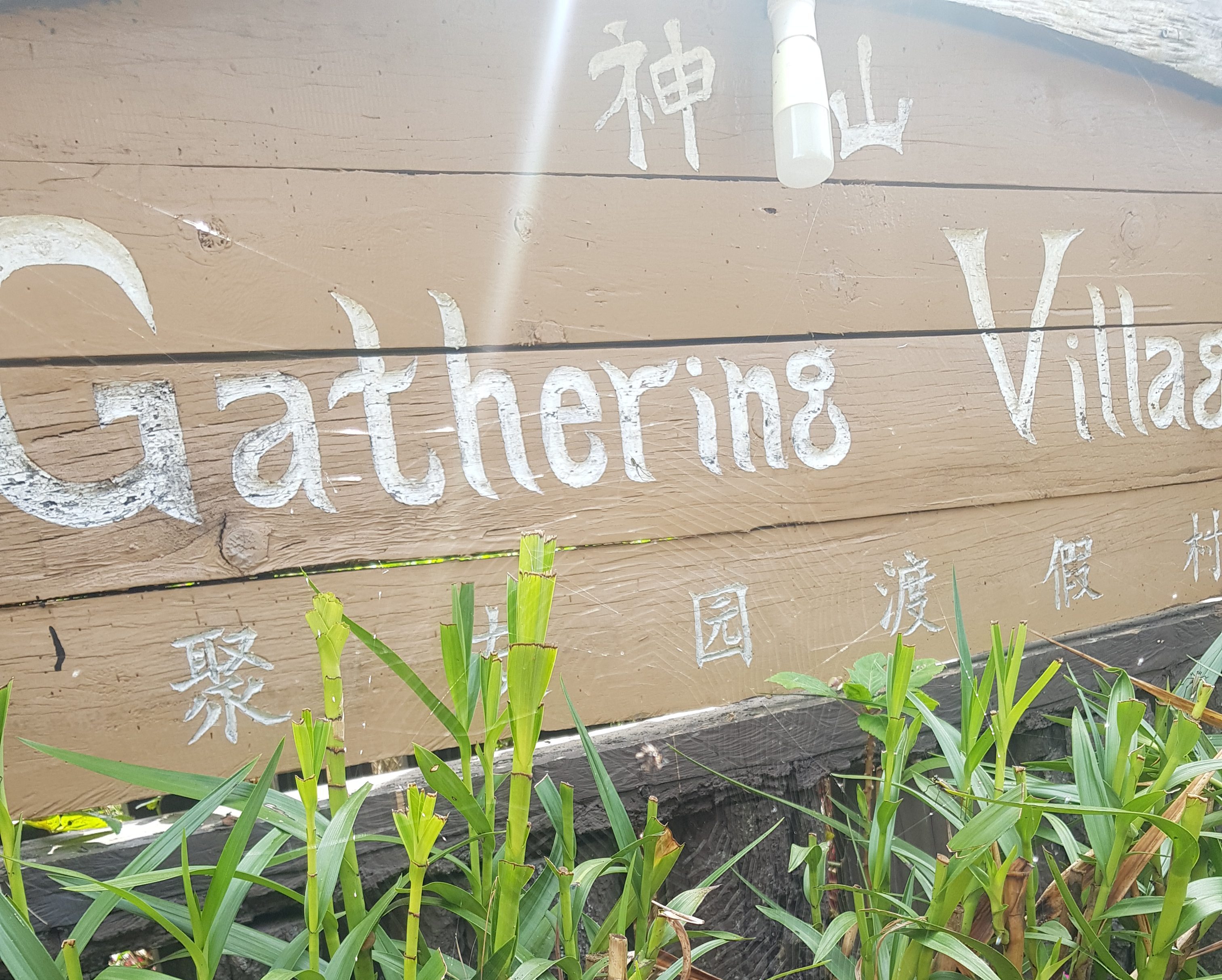 Sabah Roadtrip – Part 1 (Ranau)